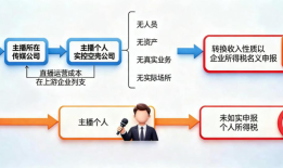 七起网红网店偷税案曝光有人卖货百万却缴税千元